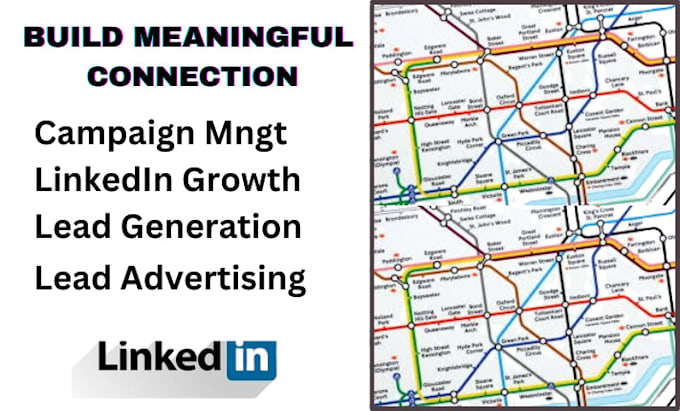 Gig Preview - Do linkedin marketing and develop your connection personally