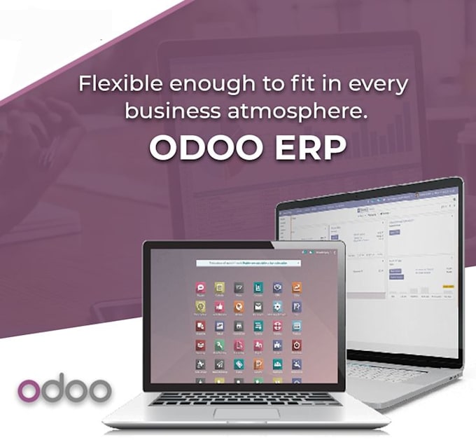 Gig Preview - Be your odoo implementer and consultant for your business