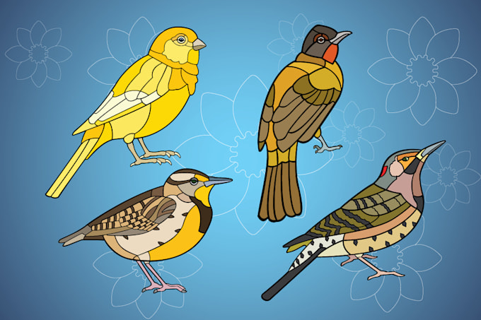 Gig Preview - Draw amazing vector birds in an original style