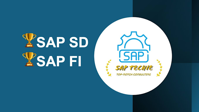 Gig Preview - Support sap sd and fi config and support