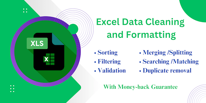 Gig Preview - Clean organize and format your data in excel