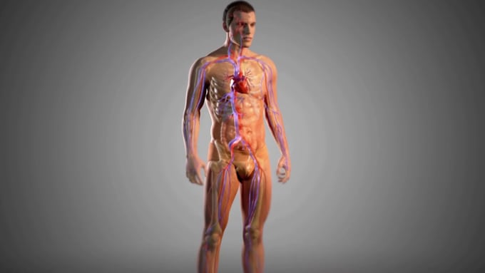 Gig Preview - Do 3d medical animation, 3d anatomical surgery 3d medical device explainer video