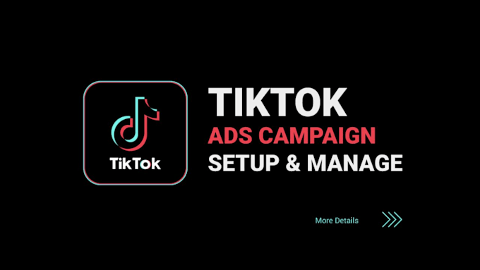 Gig Preview - Run your tiktok ads, manage ads manager and do fixes