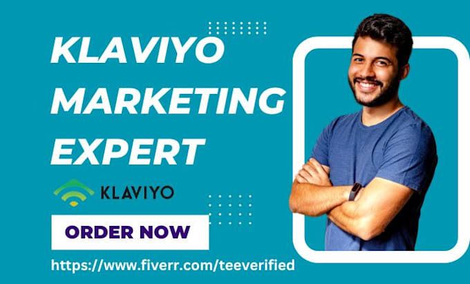 Gig Preview - Setup klaviyo email marketing campaign flows template automation sales funnel