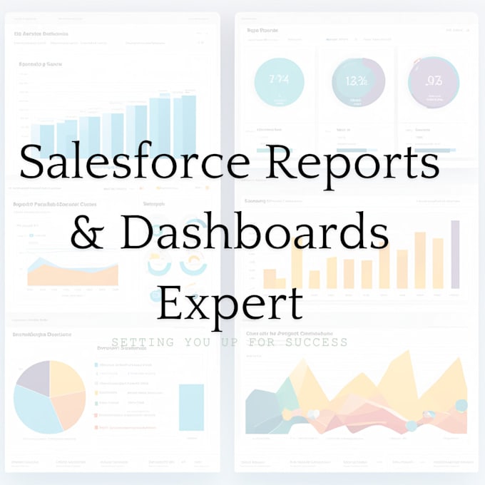 Gig Preview - Salesforce reporting and dashboard customization for enhanced insights