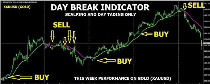 Gig Preview - Program expert advisor, forex eas bot, indicator, mt4 eas bot, mt5 eas bot