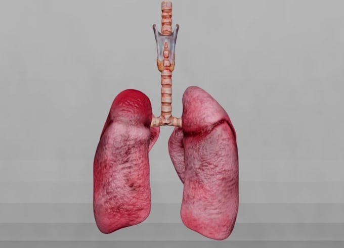 Gig Preview - Do 3d medical animation for a product or procedure