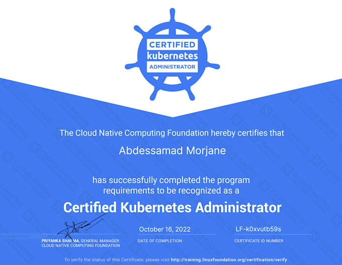 Gig Preview - Be your expert kubernetes let a certified kubernetes professional guide you