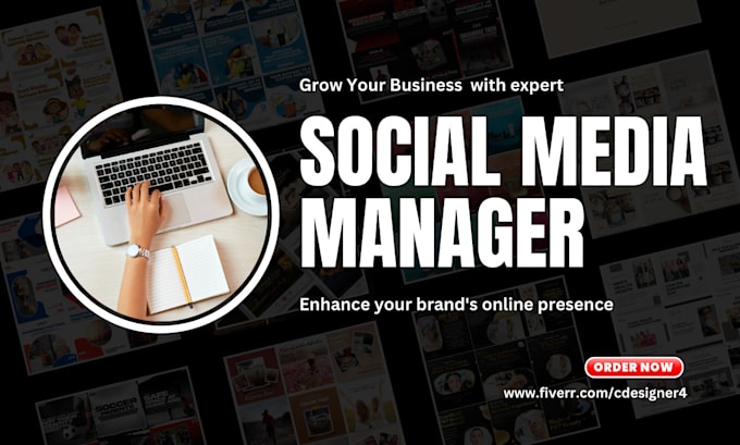 Gig Preview - Be your social media manager, instagram, facebook, linkedin