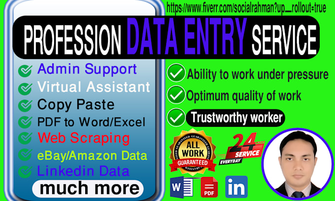 Gig Preview - Do fast professional data entry for your targeted business