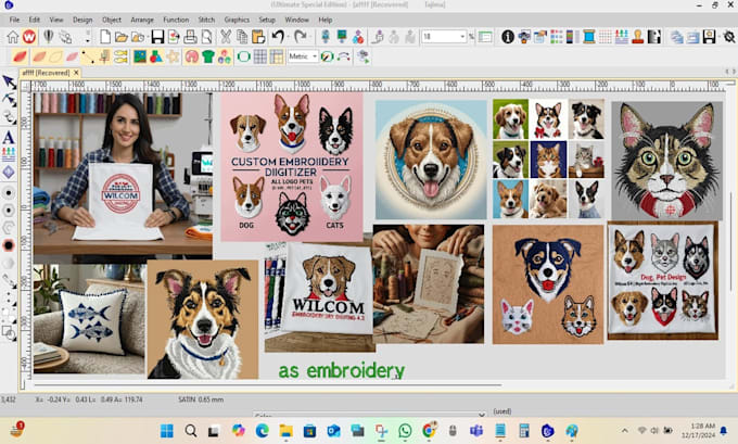 Gig Preview - Digitize outline embroidery and logo for pet, dog, and cat