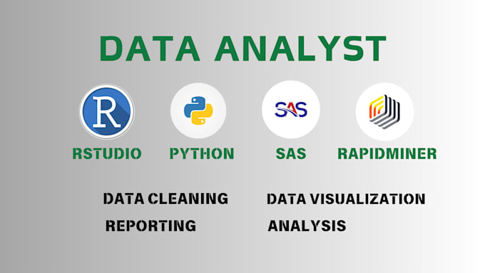 Gig Preview - Do data cleaning, analysis, visualization using r, rstudio, python, sas, spss