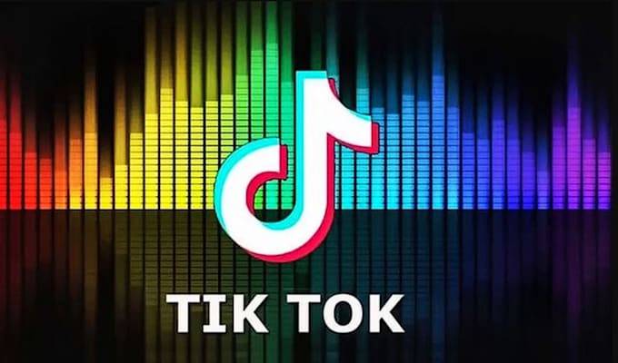 Gig Preview - Do tiktok shop facebook shop instagram shop tiktok ads, tiktok marketing