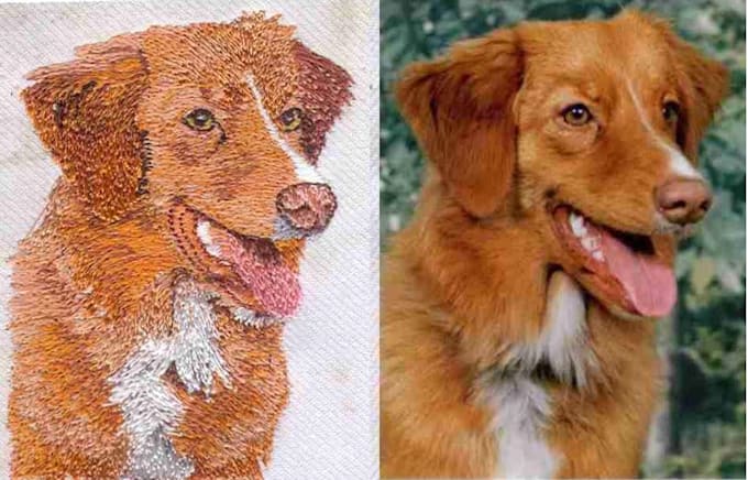 Gig Preview - Digitize your pet for embroidery digitizing into dst, pes on wilcom