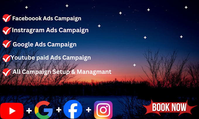 Bestseller - do facebook and google ads campaign setup managemant