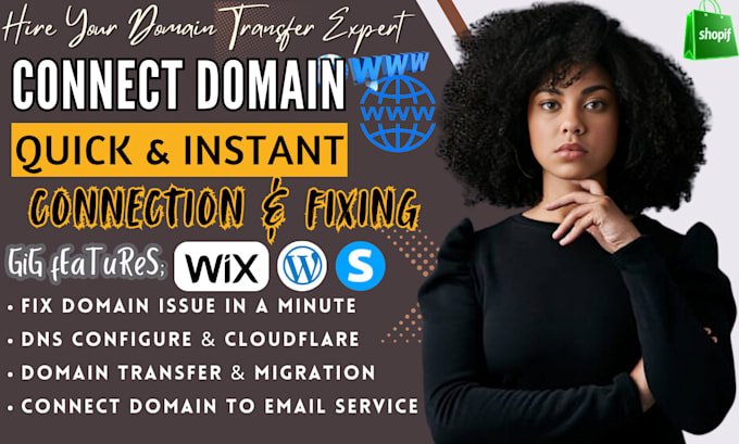 Gig Preview - Fix and connect domain dns to any website or platform shopify, systeme io, wix