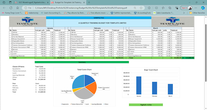 Gig Preview - Do professional financial modelling for your business