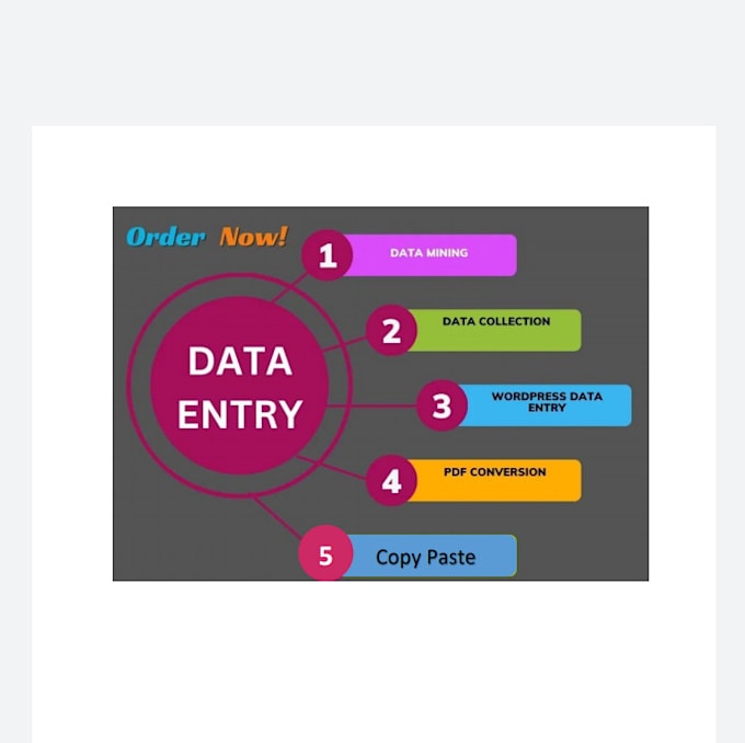 Gig Preview - Do fastest  data entry, copy paste and pdf to excel