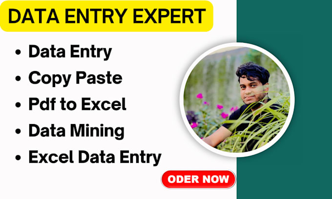 Gig Preview - Do data entry, copy paste, pdf to excel, excel data entry