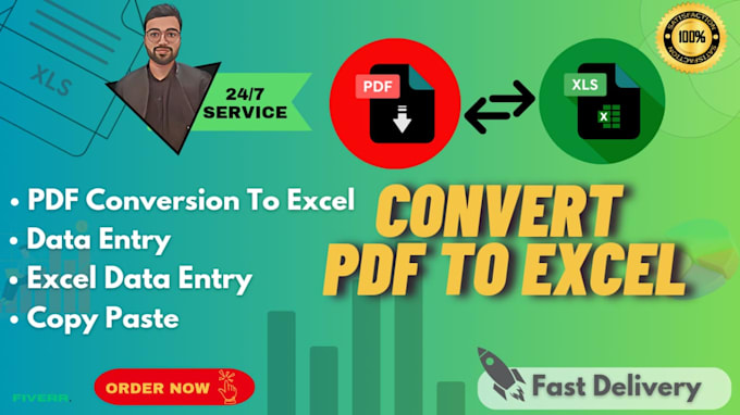 Gig Preview - Convert PDF to excel, scan pages to excel