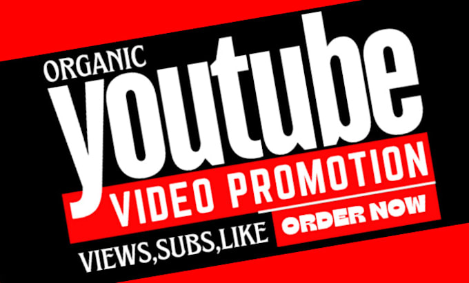 Gig Preview - Do organic youtube video promotion by social media