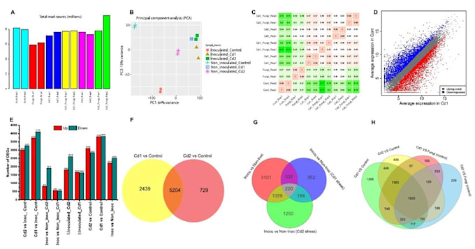 Gig Preview - Do rnaseq and transcriptomics analysis