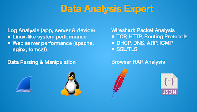 Gig Preview - Analyze files, logs or network packets for insights