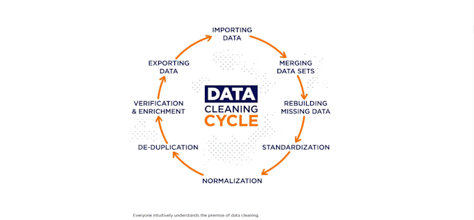 Bestseller - expertly clean and organize your data for accurate analysis