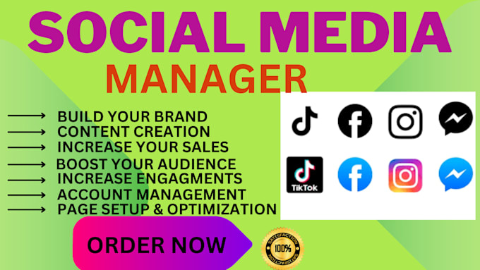 Gig Preview - Be your social media marketing manager and content creator