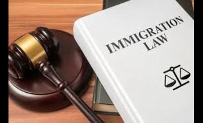 Gig Preview - Be your online lawyer for immigration and visa