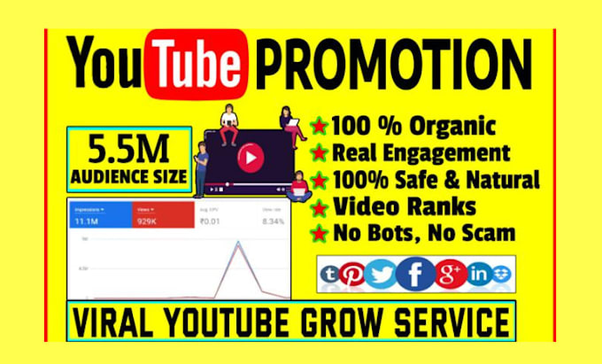 Bestseller - do organic youtube video and channel promotion with social media