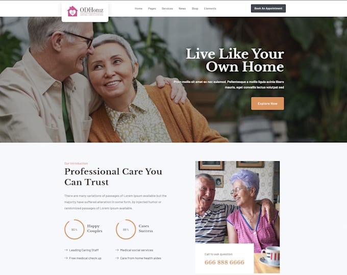 Gig Preview - Do home care website, healthcare, staffing agency website