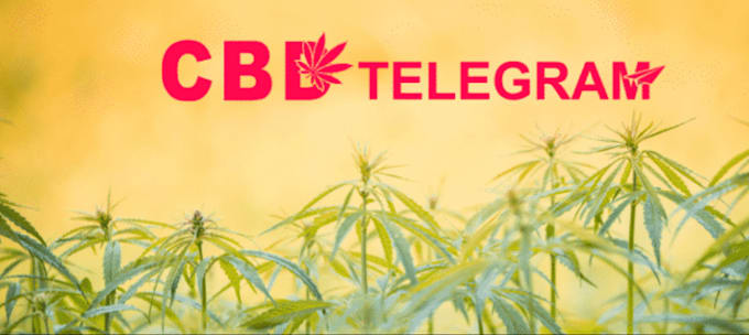 Gig Preview - Promote and advertise your cbd telegram, cbd website, marijuana product