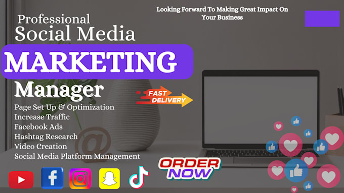 Gig Preview - Be your social media marketing manager content creator facebook ads