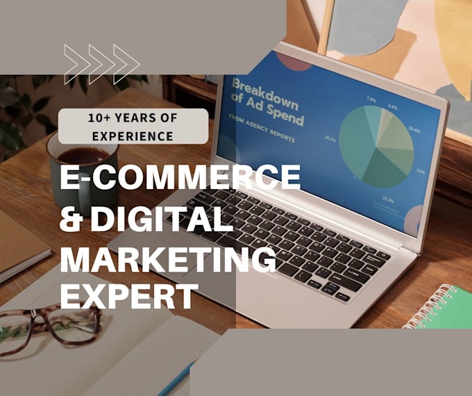 Gig Preview - Manage your ecommerce and digital marketing with 10 years experience