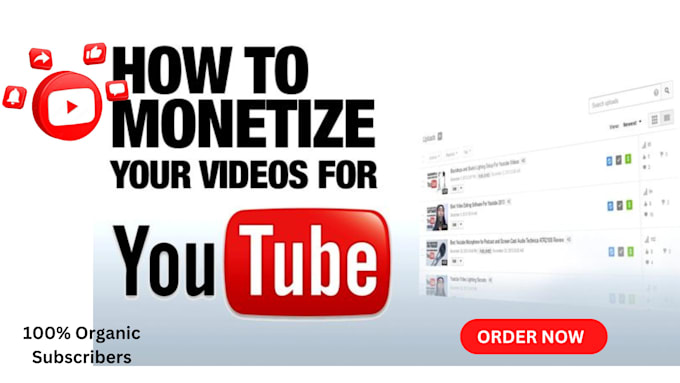 Gig Preview - Do organic super fast youtube video promotion for monetization