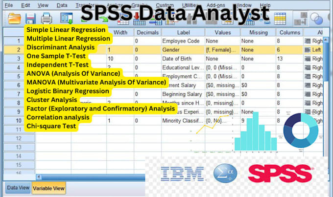 Gig Preview - Help with spss data analysis and write a report for you