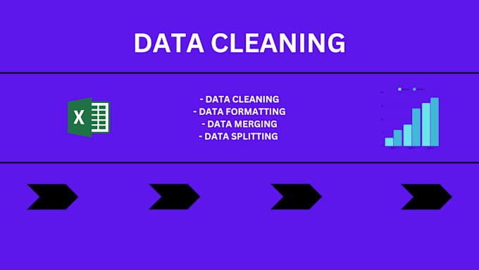 Gig Preview - Clean, format, merge, split excle data