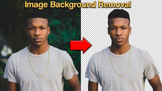 Gig Preview - Remove or change the background of your photo