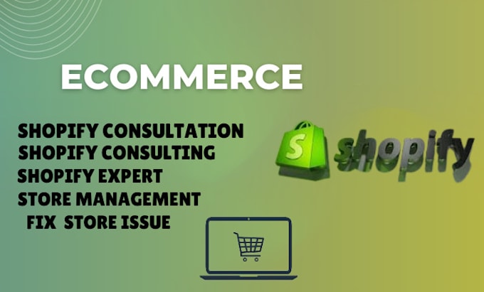 Gig Preview - Be ecommerce, shopify consultant, consulting, mentor, ecommerce management