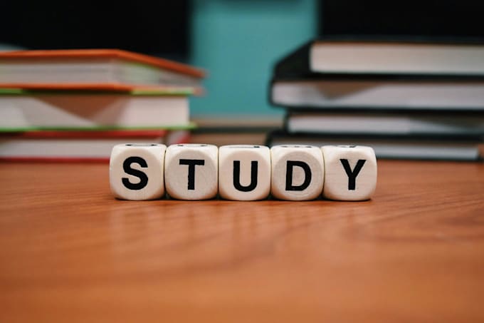 Gig Preview - Provide personalized study coaching in english or dutch