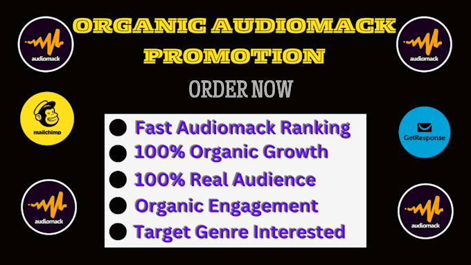 Gig Preview - Do best audiomack music promotion using email marketing campaign