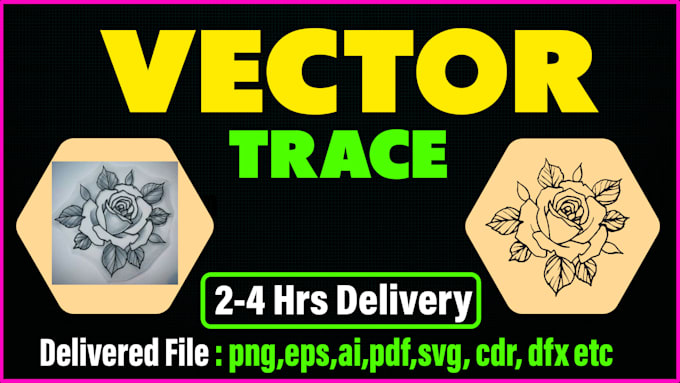 Gig Preview - Vector tracing from image to vector