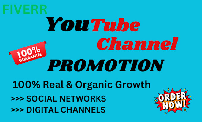 Gig Preview - Promote youtube channels to increase active subscribers