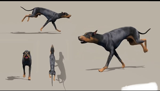 Gig Preview - 3d animal animation, cgi animal model xgen, fur, 3d rigging running animation