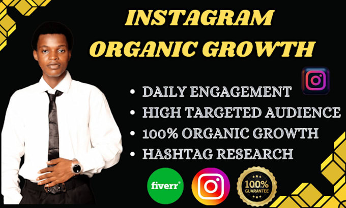 Gig Preview - Setup organic growth instagram marketing for instagram promotion