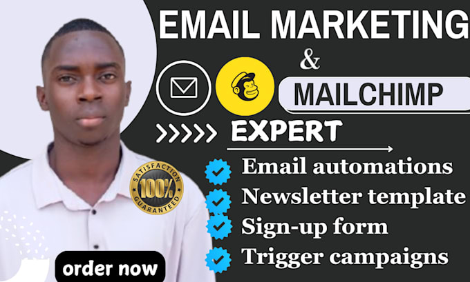 Gig Preview - Setup automated klaviyo email marketing create mailchimp email template