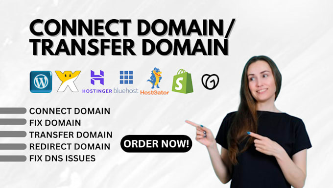 Gig Preview - Connect domain connection transer domain fix domain on hostinger wix shopify dns