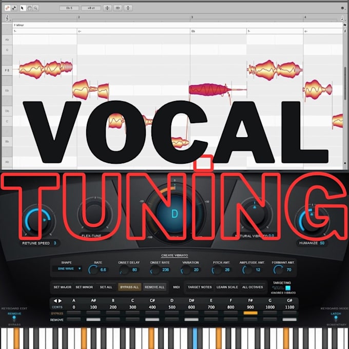 Gig Preview - Provide precise vocal tuning for flawless performances