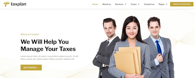 Gig Preview - Design a professional income tax, accounting finance income tax website